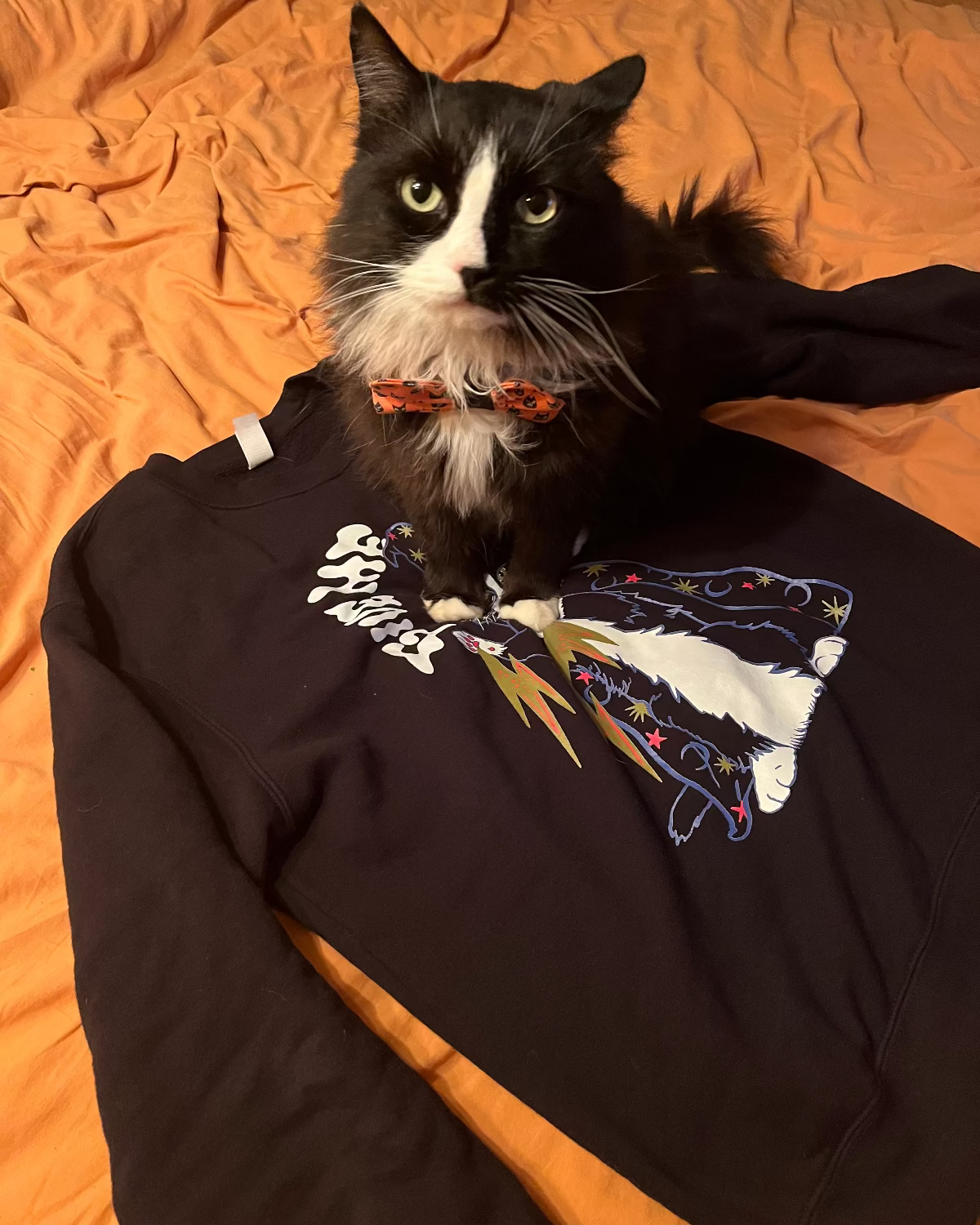 Give Me a Treat T-Shirt