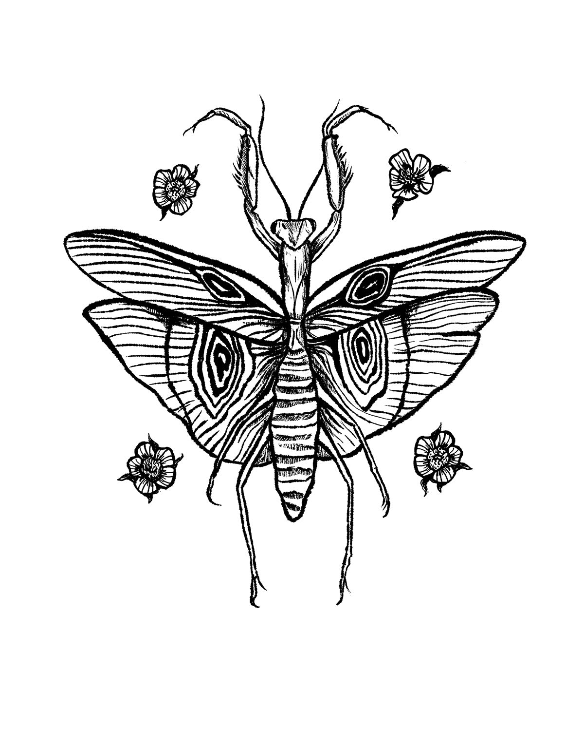 Mantis Hoodie