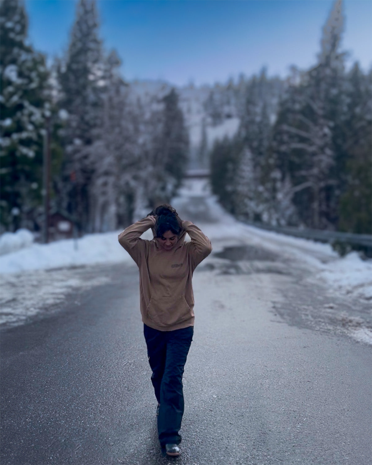 Nevada County, CA Hoodie