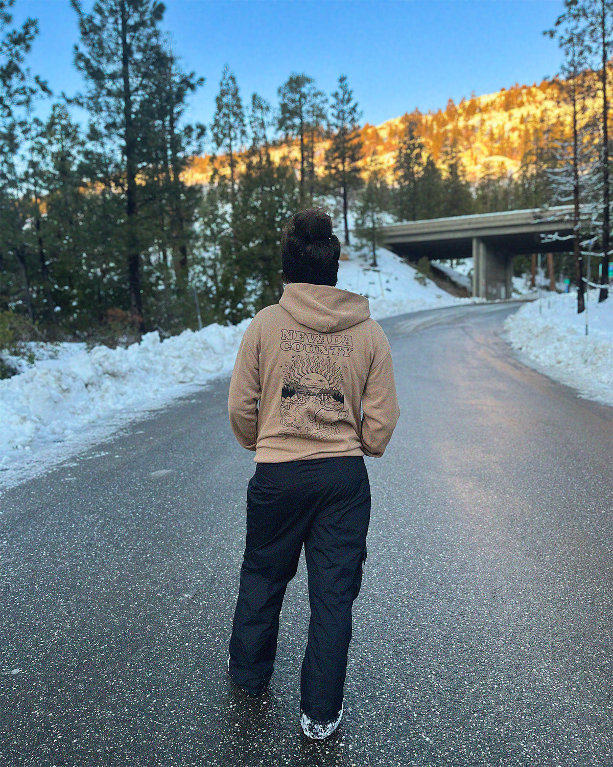 Nevada County, CA Hoodie